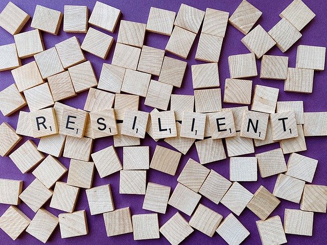 Third Sector Resilience Fund Launched
